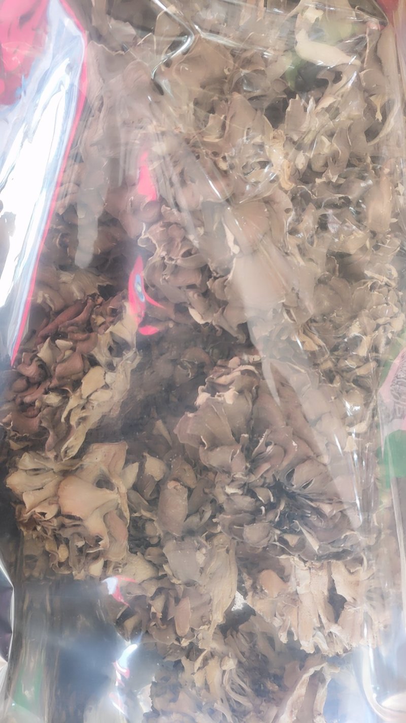 精品野生灰树花10斤以上包邮