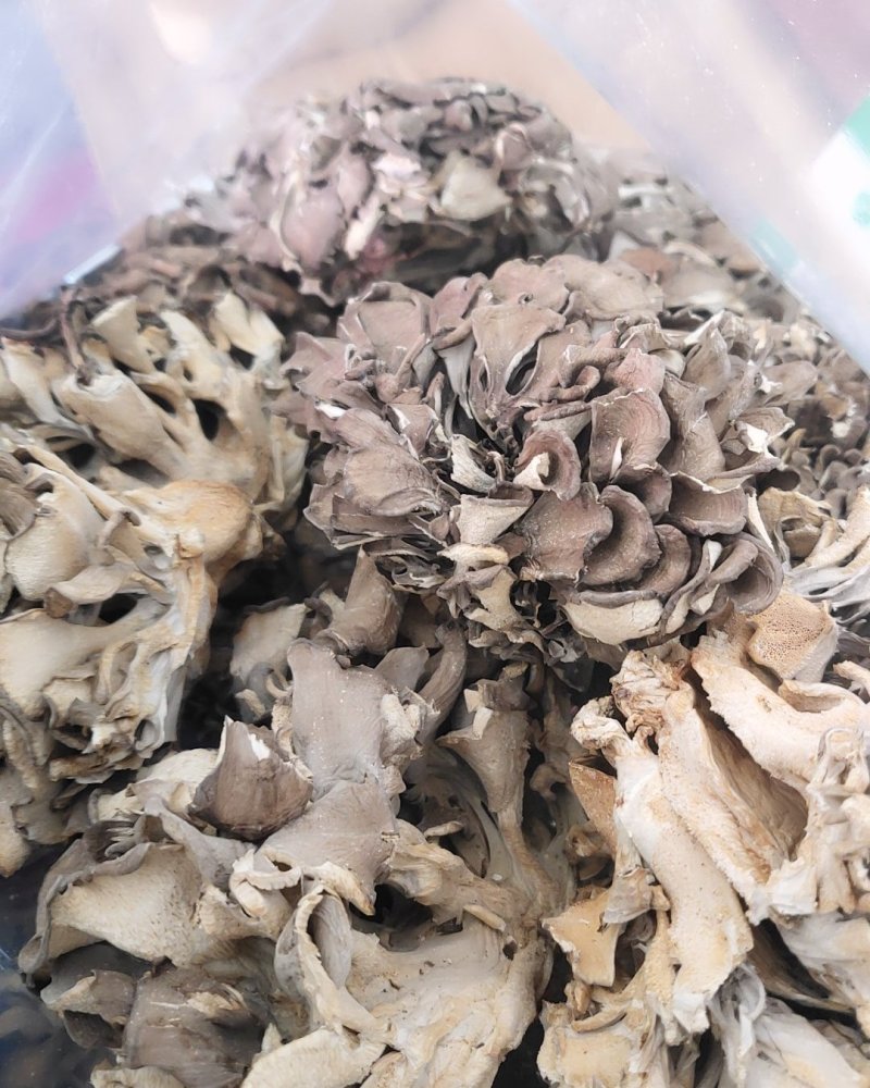 精品野生灰树花10斤以上包邮