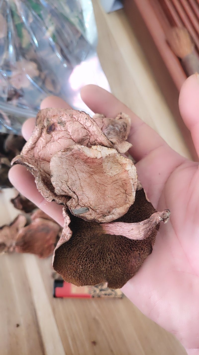 精品野生菌奶浆菌10斤以上包邮