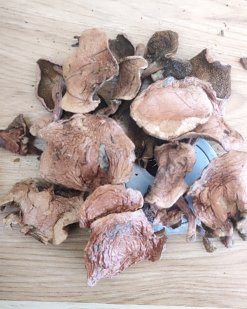 精品野生菌奶浆菌10斤以上包邮
