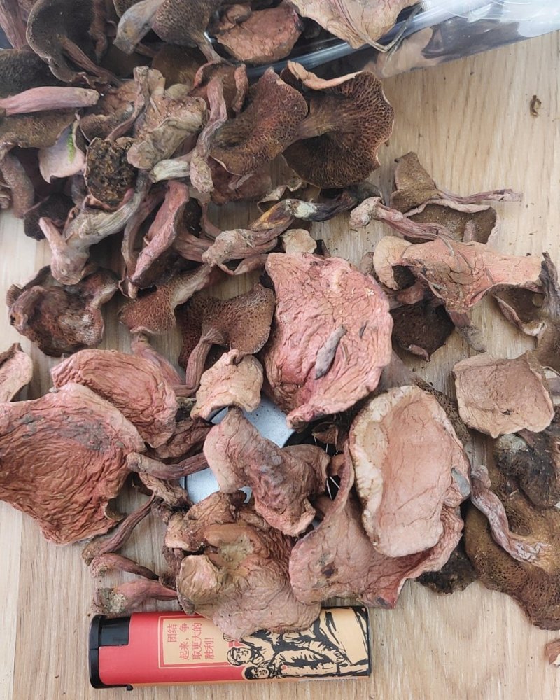 精品野生菌奶浆菌10斤以上包邮