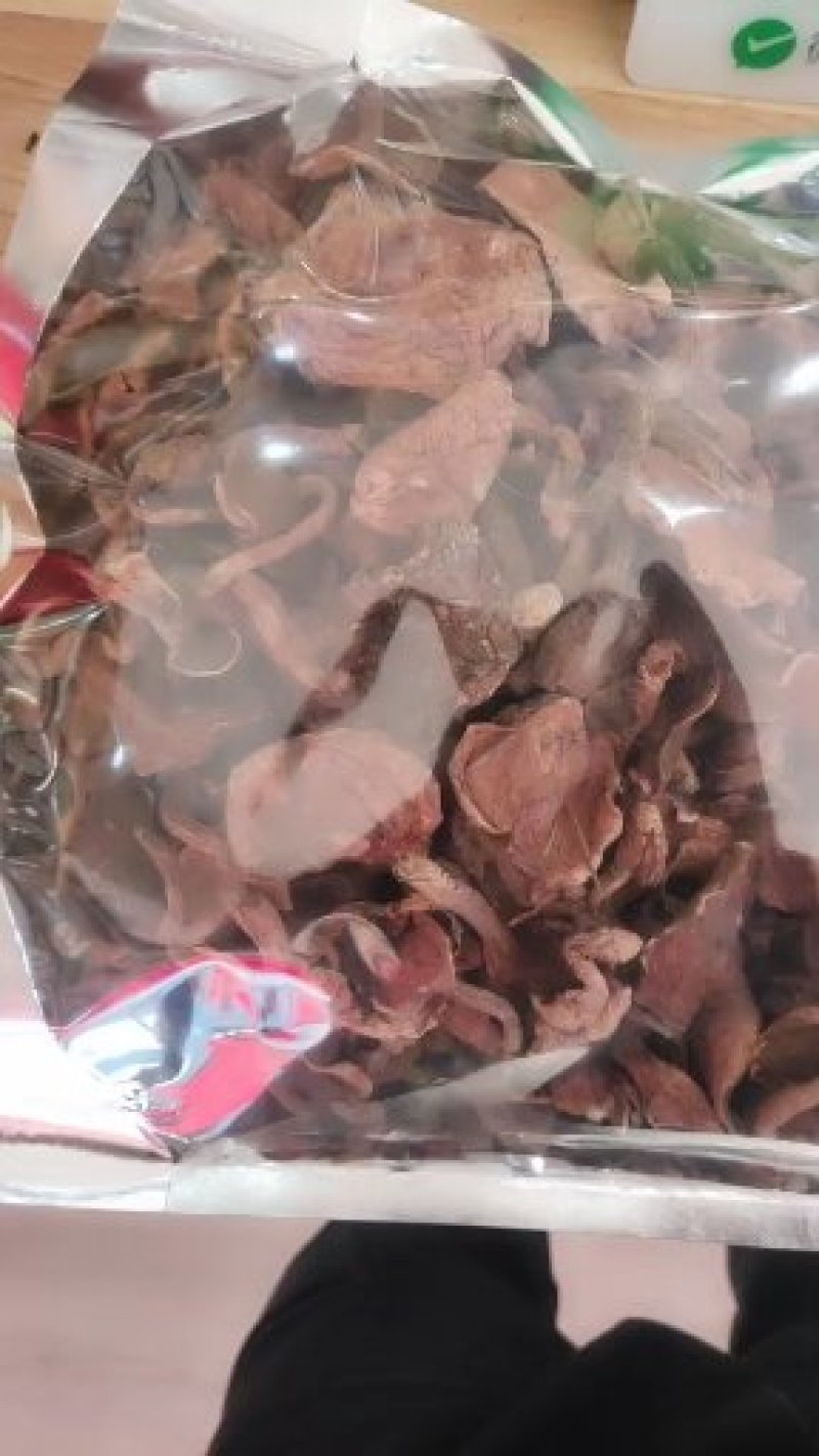 精品野生菌奶浆菌10斤以上包邮