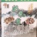 精品野生菌奶浆菌10斤以上包邮