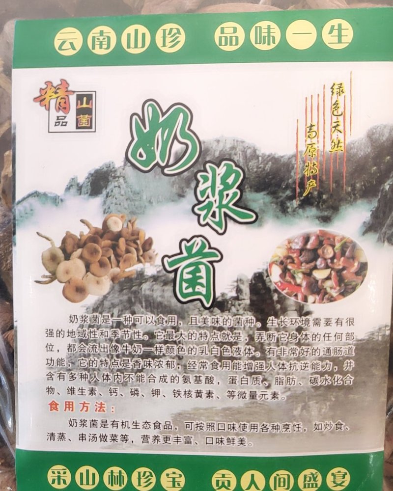 精品野生菌奶浆菌10斤以上包邮