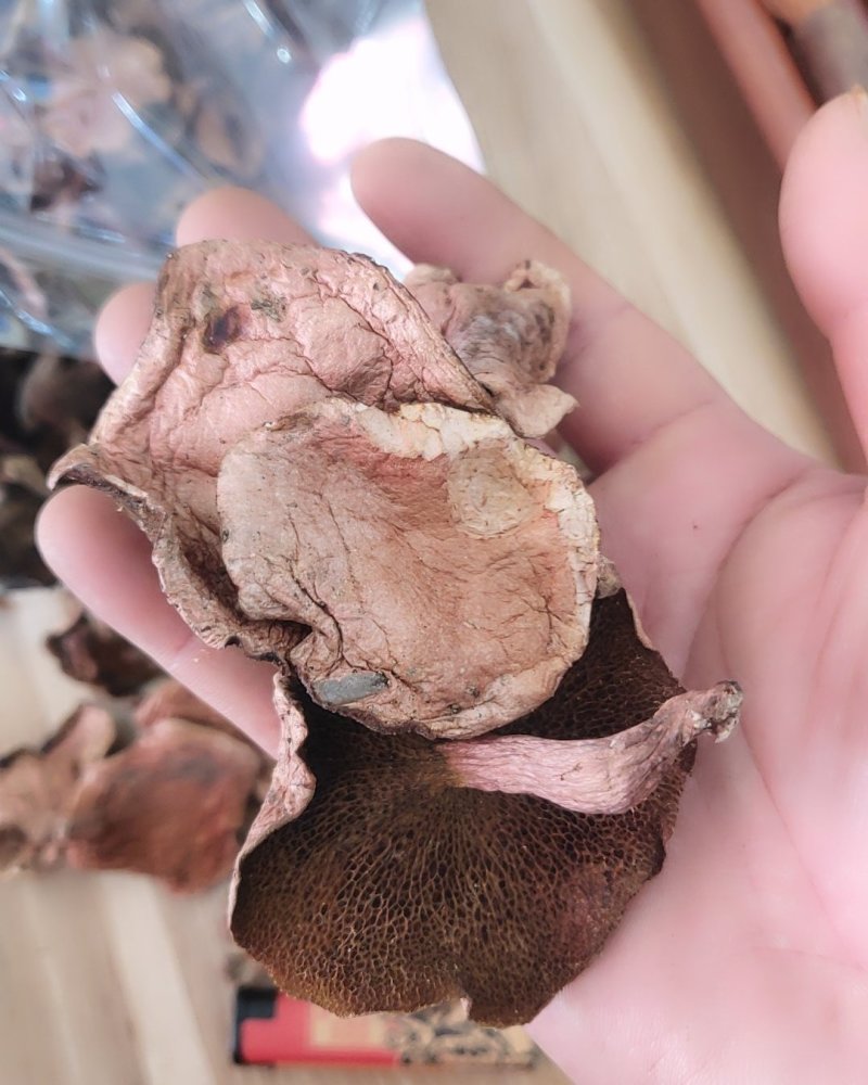 精品野生菌奶浆菌10斤以上包邮
