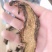 精品野生黑牛肝10以上包邮