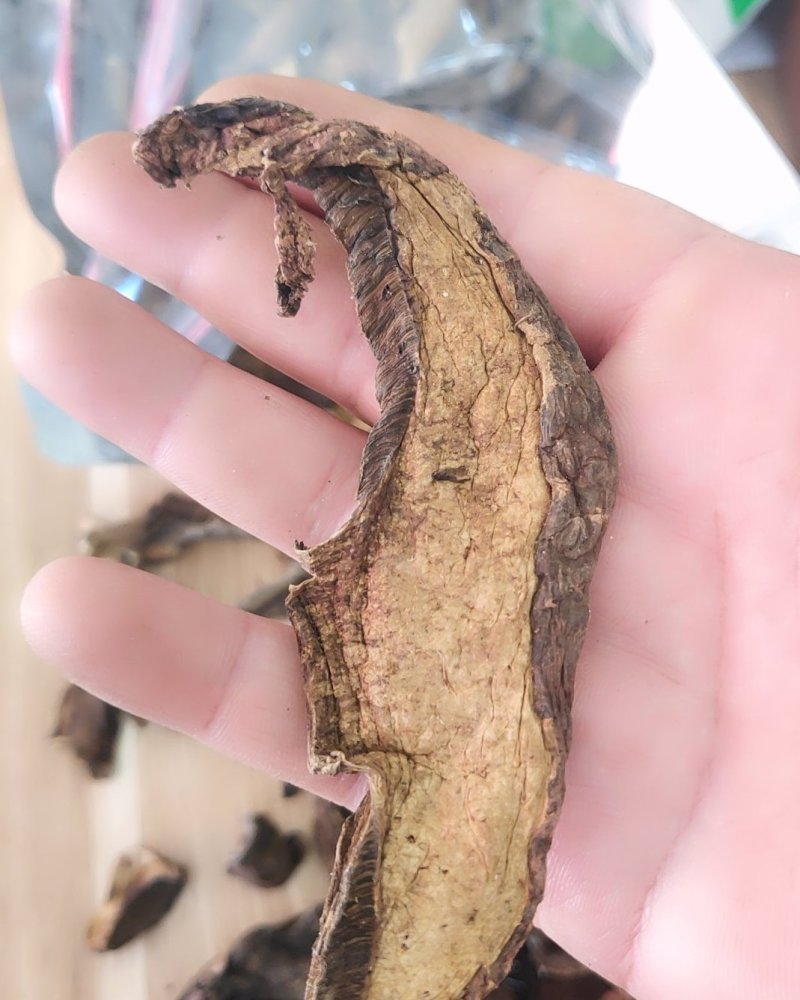 精品野生黑牛肝10以上包邮
