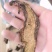 精品野生黑牛肝10以上包邮