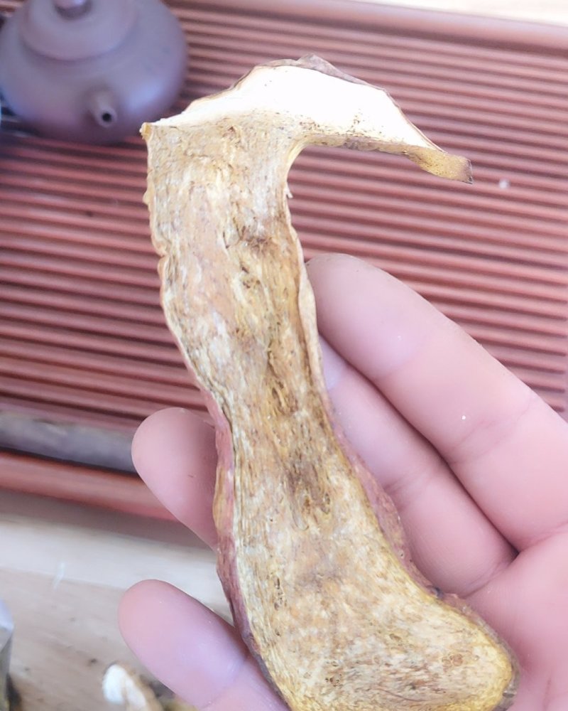 精品红葱牛肝菌10斤以上包邮