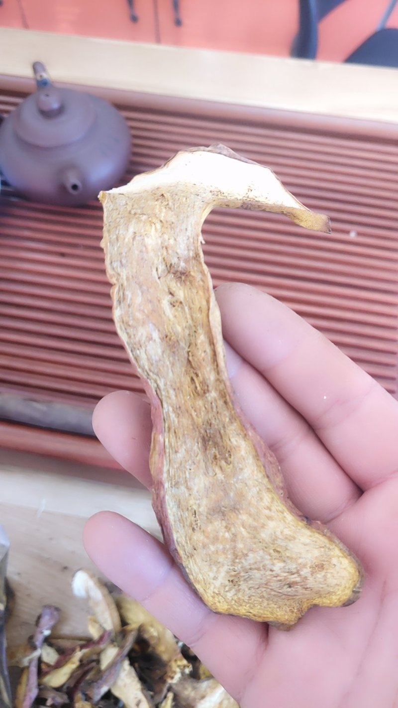 精品红葱牛肝菌10斤以上包邮