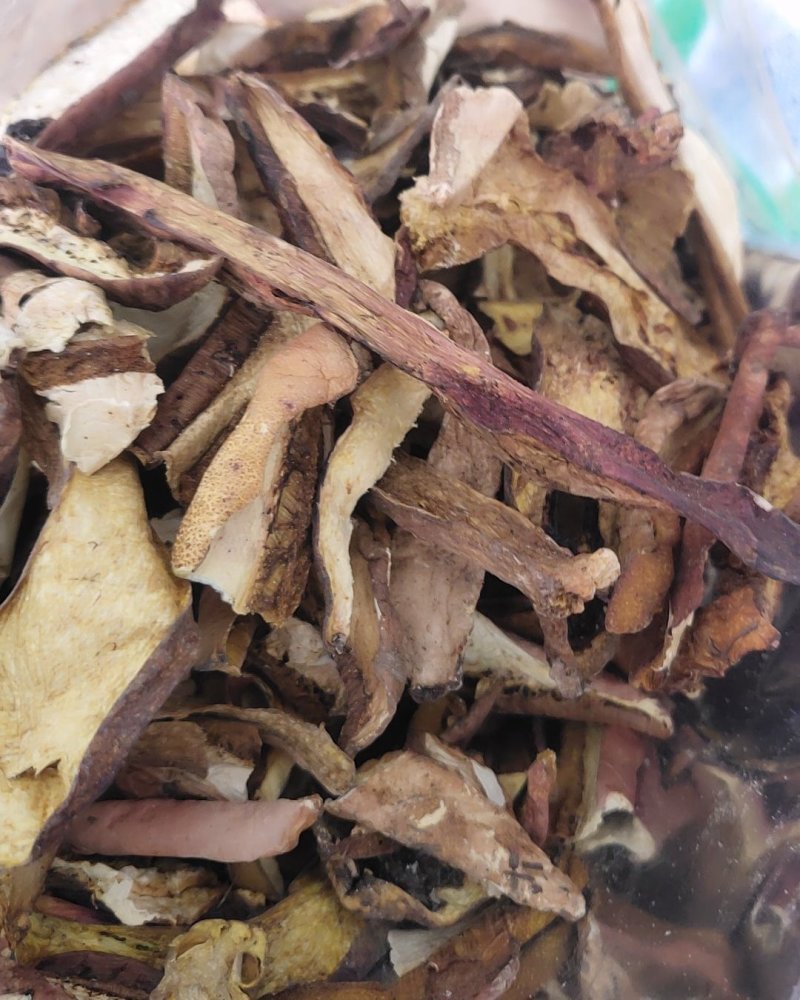 精品红葱牛肝菌10斤以上包邮