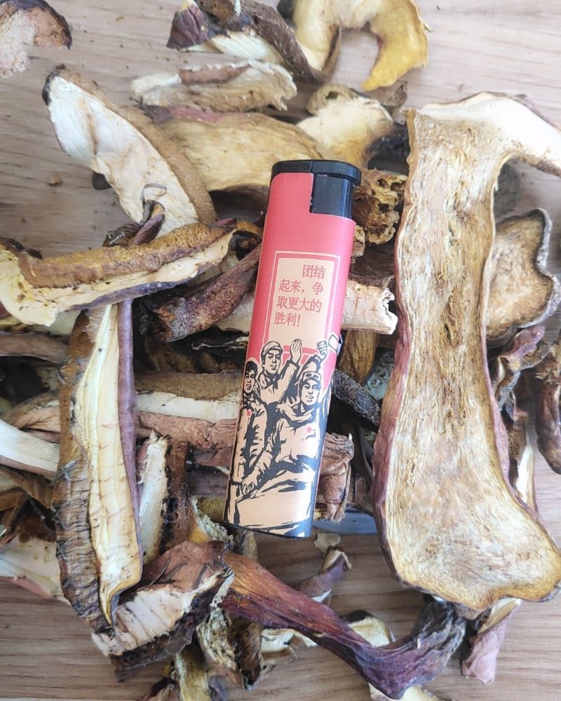 精品红葱牛肝菌10斤以上包邮