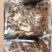 精品红葱牛肝菌10斤以上包邮