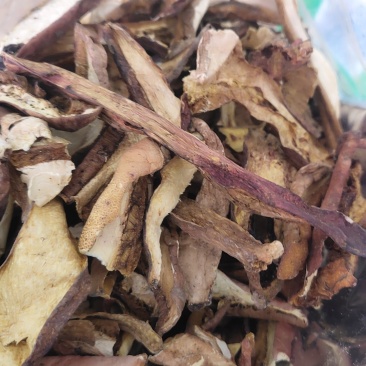 精品红葱牛肝菌10斤以上包邮