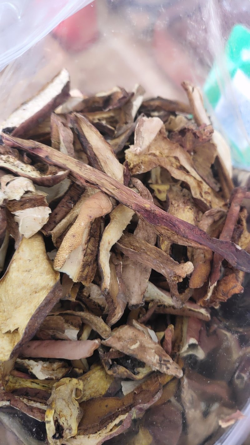 精品红葱牛肝菌10斤以上包邮