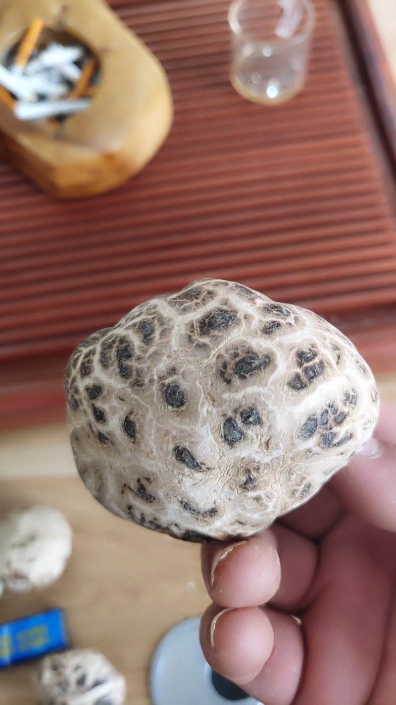 精品各大品种香菇10以上包邮