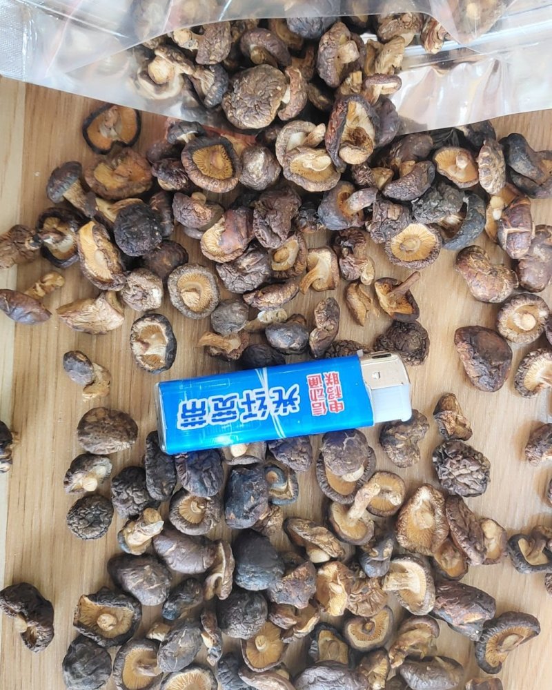 精品各大品种香菇10以上包邮
