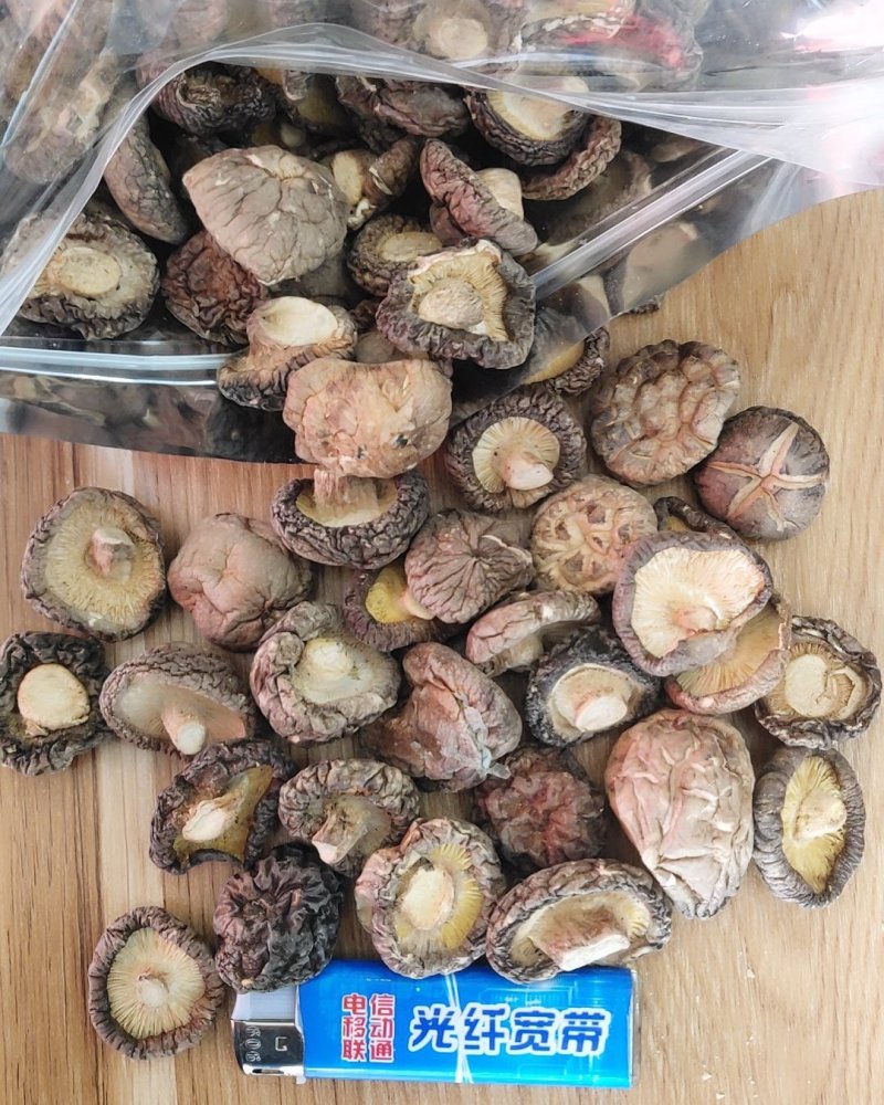 精品各大品种香菇10以上包邮