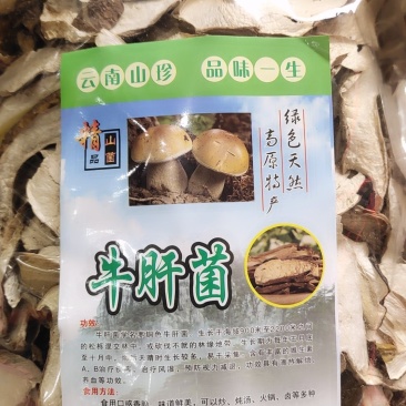 精品野生美味牛肝菌10以上包邮