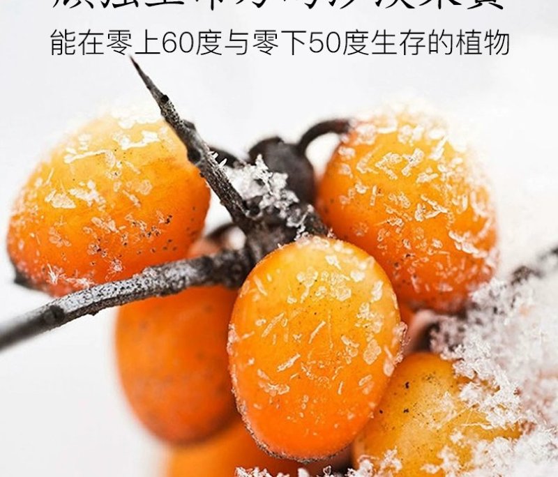 包邮新疆特产大果沙棘果汁10瓶装支持一件代发和整批落地