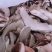 野生黑虎掌菌人工黑虎掌干片10斤以上包邮