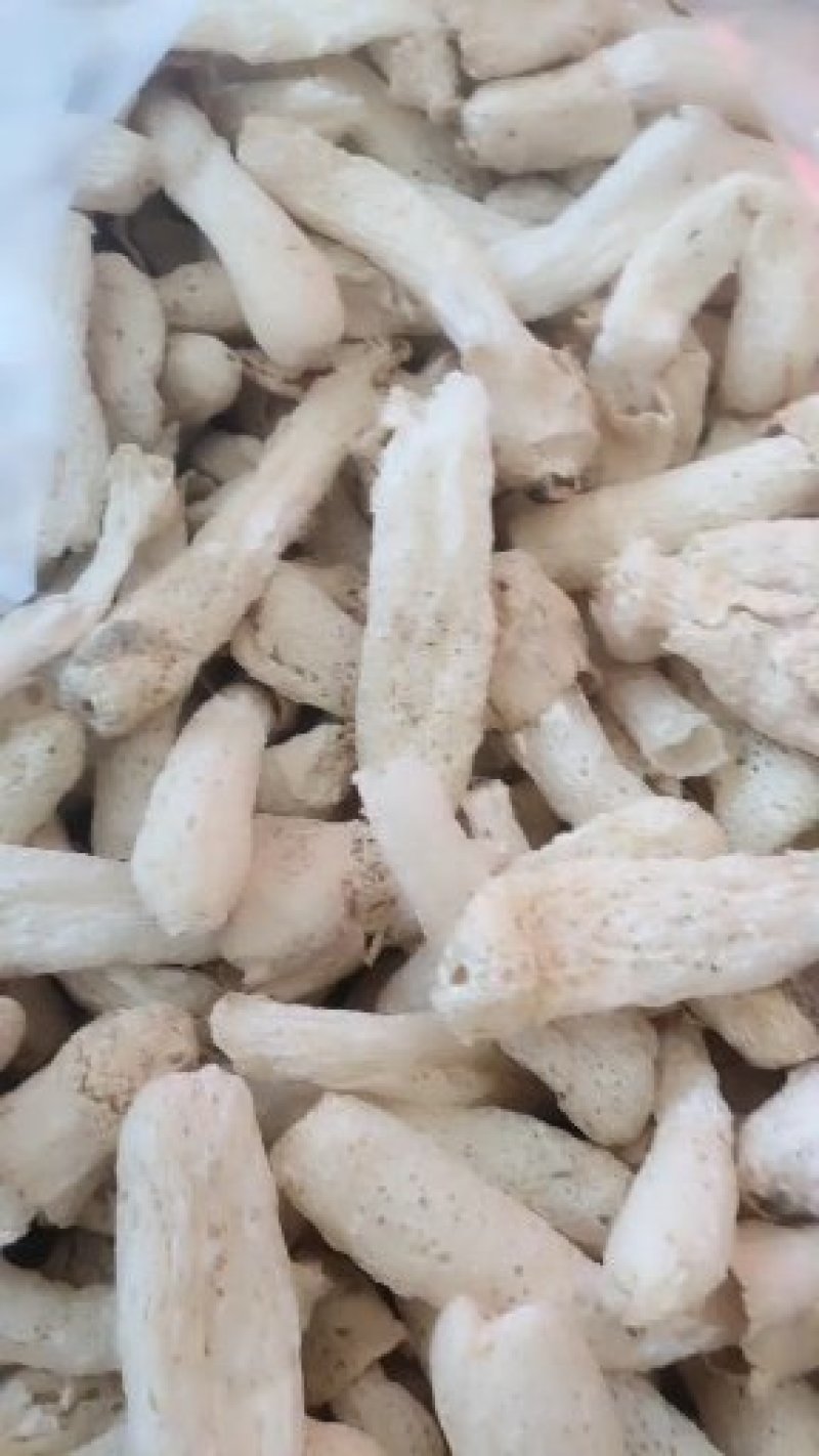 精品竹荪，红托竹荪，福建竹荪，一件代发，欢迎代理