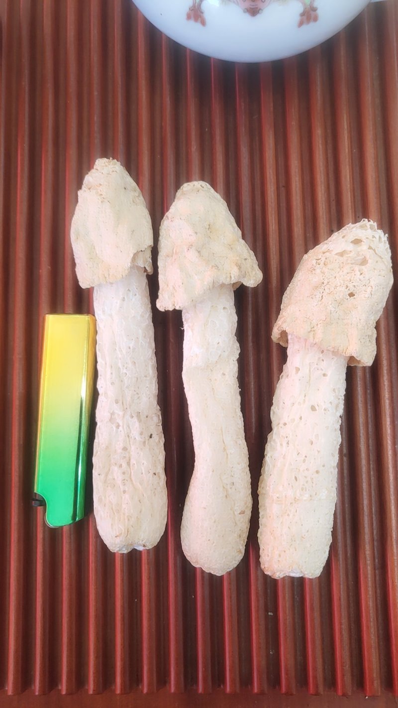 精品竹荪，红托竹荪，福建竹荪，一件代发，欢迎代理