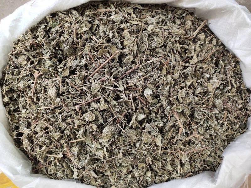 野生溪黄草茶粗梗大叶溪黄茶