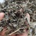 野生溪黄草茶粗梗大叶溪黄茶