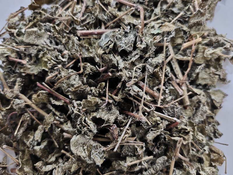 野生溪黄草茶粗梗大叶溪黄茶