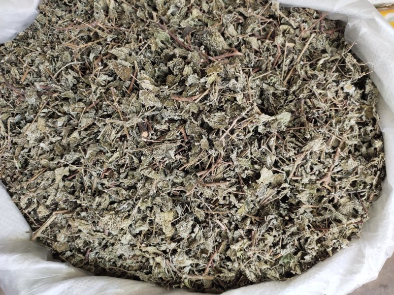 野生溪黄草茶粗梗大叶溪黄茶