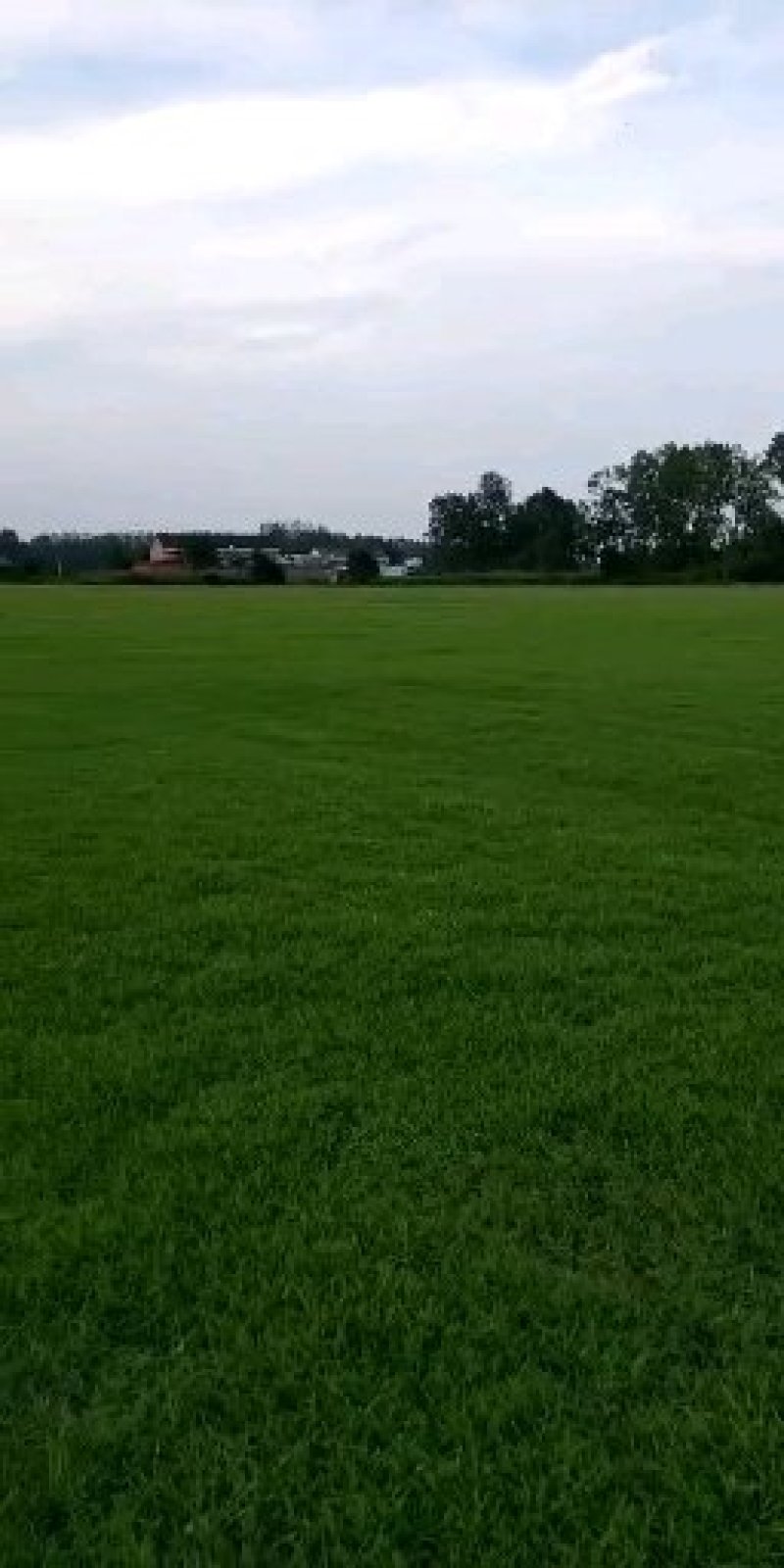 精品百慕大