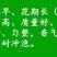 重瓣白茉莉花苗盆栽花卉观花植物室内绿植很香的茉莉庭院种植