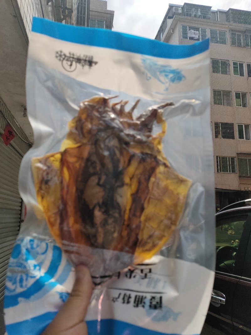 墨鱼干/纯淡干墨鱼干/大中号墨鱼干