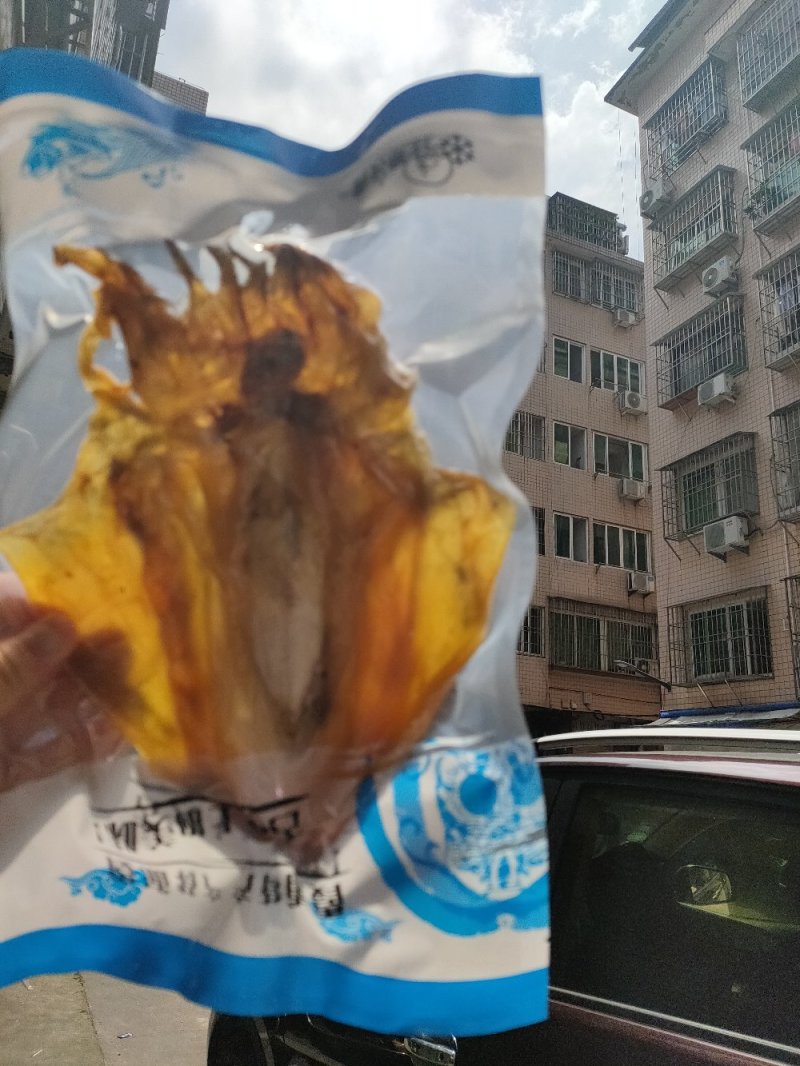 墨鱼干/纯淡干墨鱼干/大中号墨鱼干