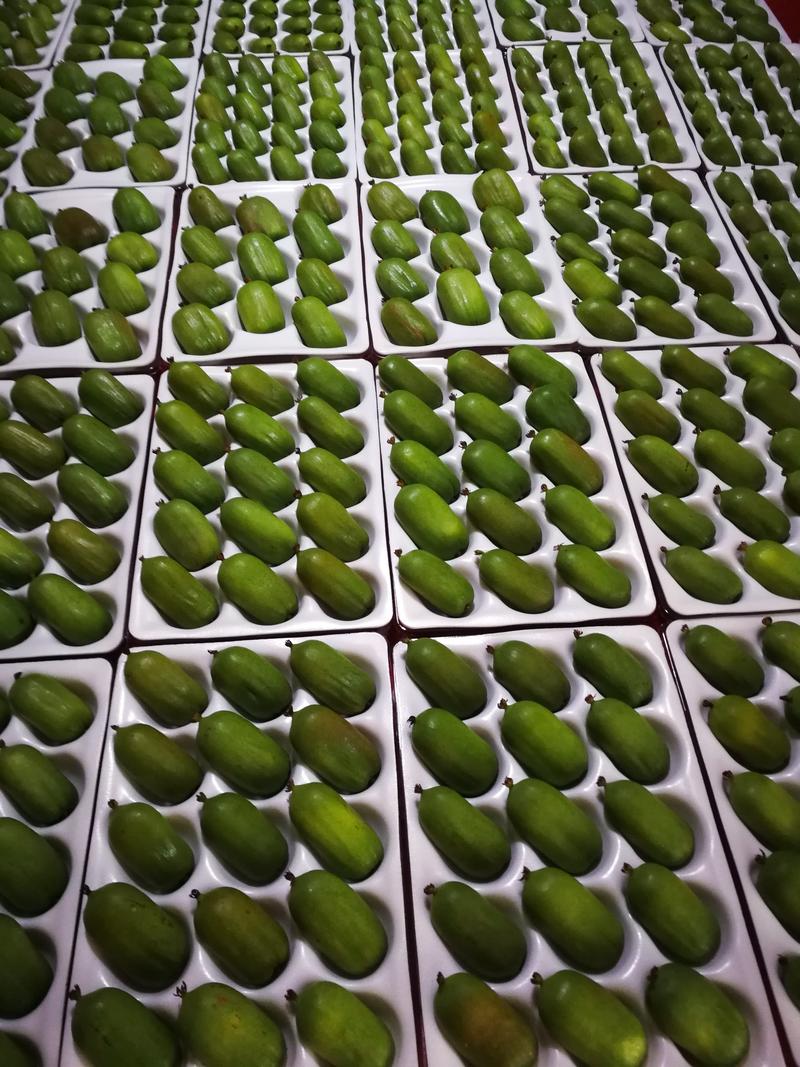 辽宁奇异莓（软枣猕猴桃）产地直发可视频看货一件代发