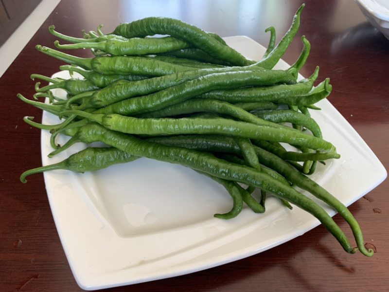 【一件代发】四川辣椒二荆条鲜辣椒基地直供
