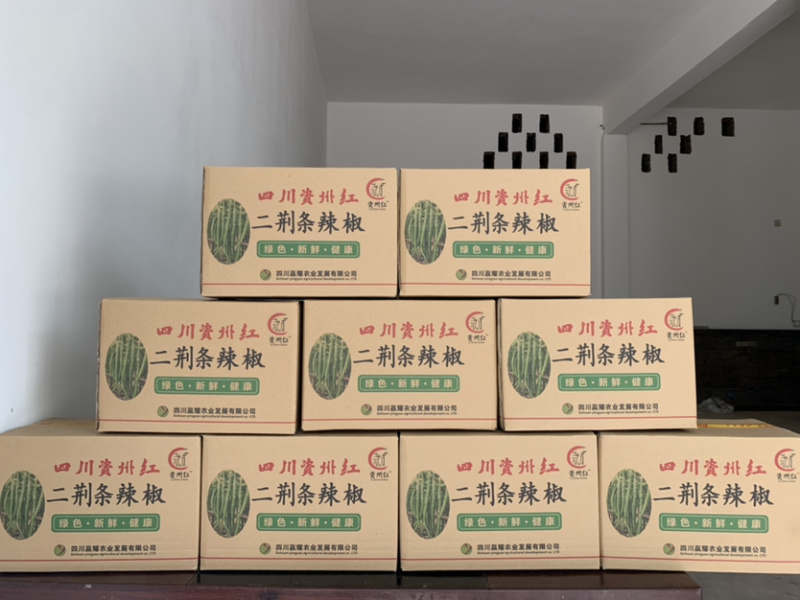 【一件代发】四川辣椒二荆条鲜辣椒基地直供