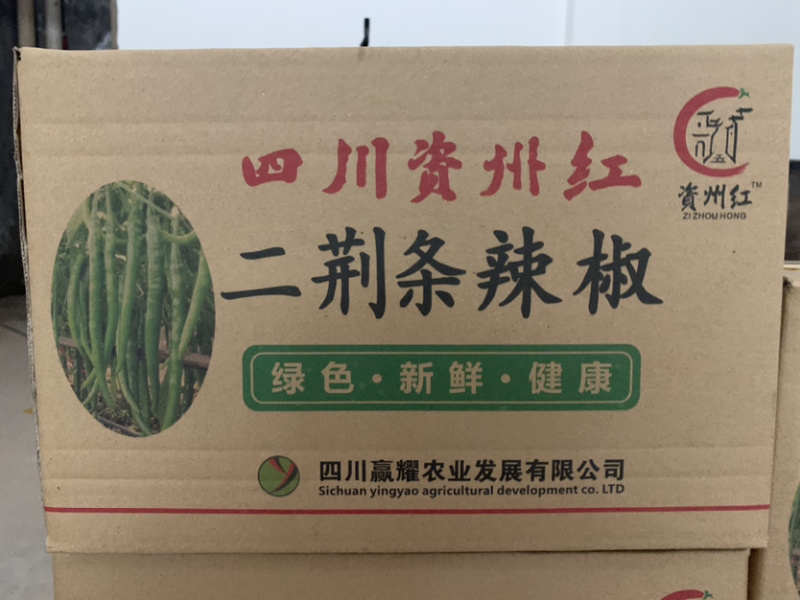 【一件代发】四川辣椒二荆条鲜辣椒基地直供