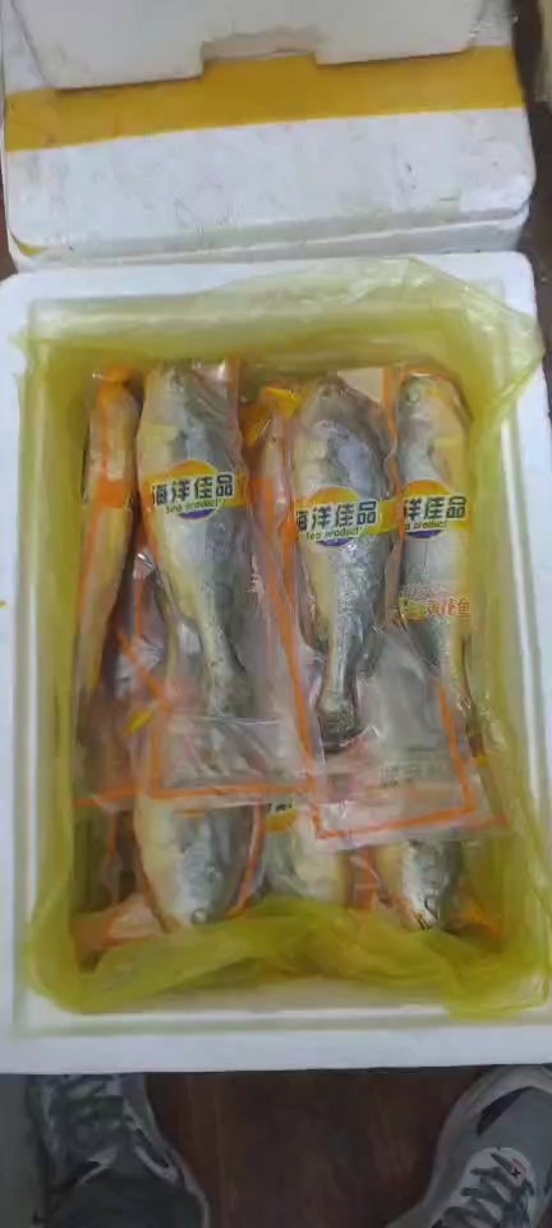 黄花鱼/宁德大黄鱼/条冻大黄鱼/单条真空包装