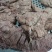 马板肠套肠味道一级棒口味香肠