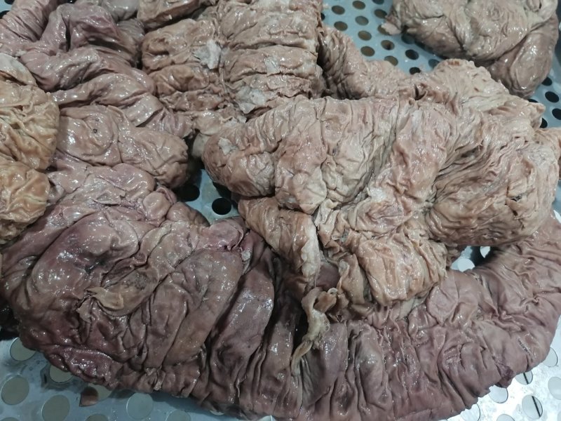 马板肠套肠味道一级棒口味香肠