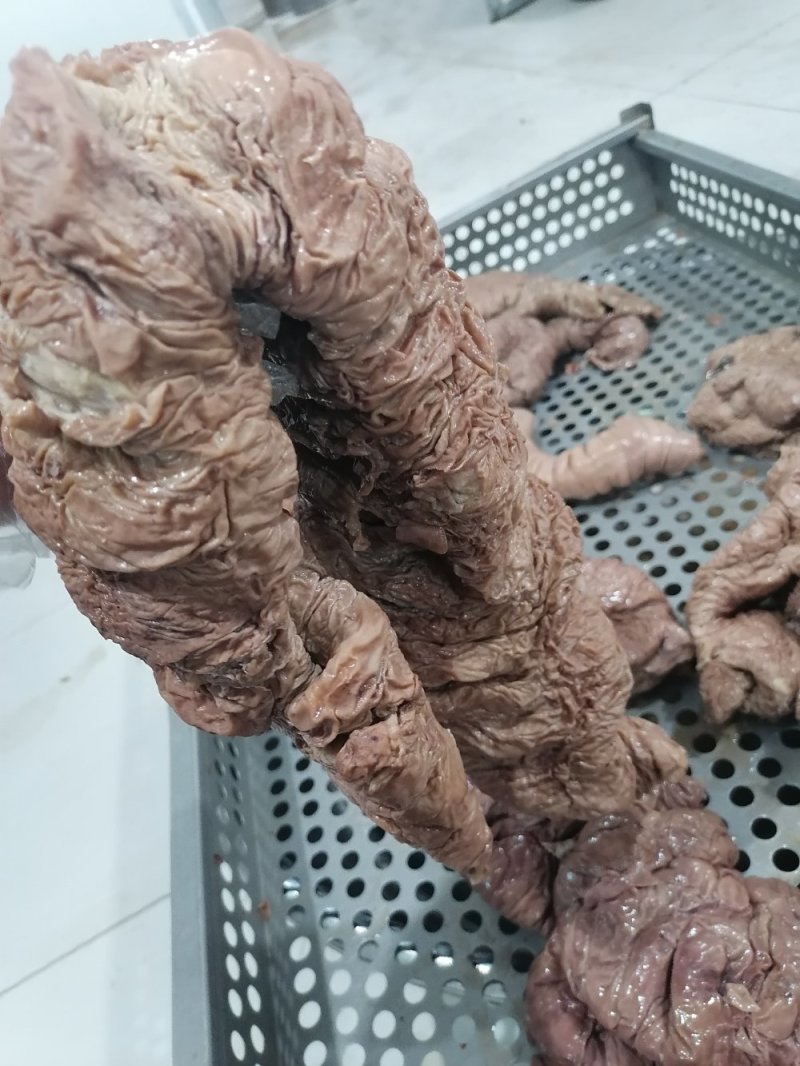 马板肠套肠味道一级棒口味香肠