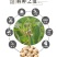 2020新豆，蛋白48，水分11产地直供支持线上保障交易