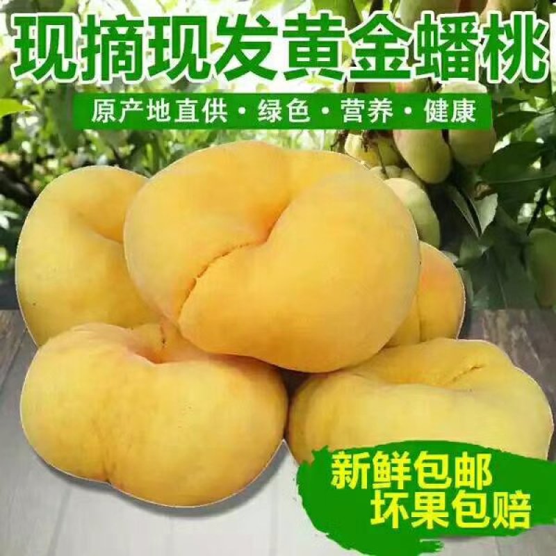 山东蒙阴黄蟠桃19新鲜采摘自家种植一件代发包邮包售后