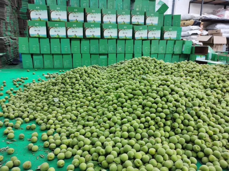 青梅