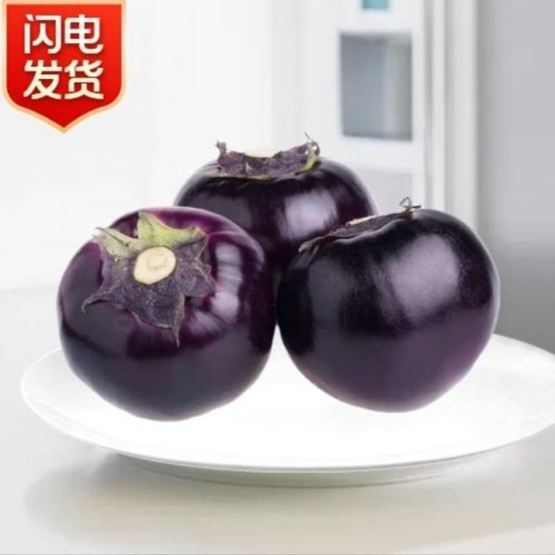 茄子精品圆茄子农民自种一件代发