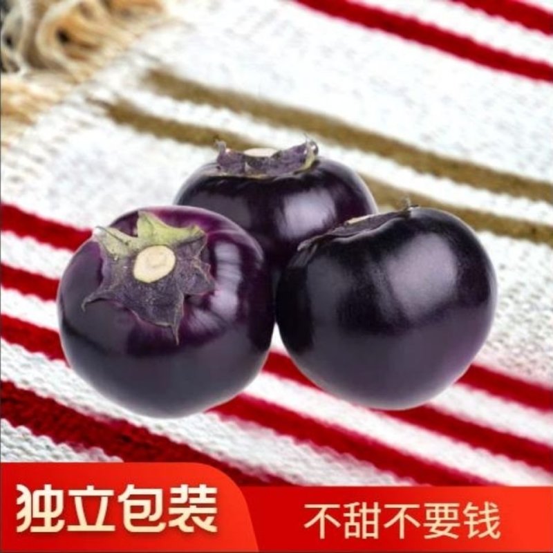 茄子精品圆茄子农民自种一件代发