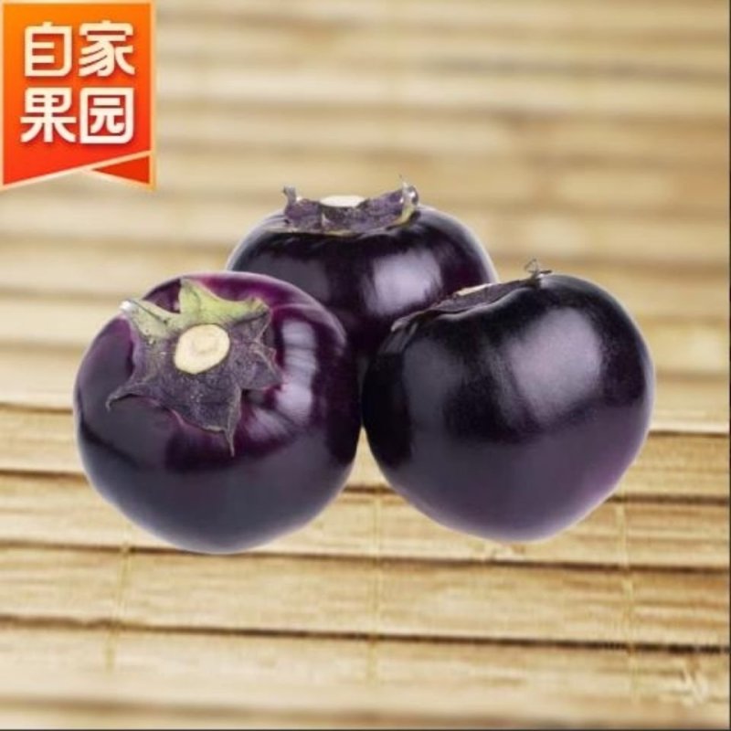 茄子精品圆茄子农民自种一件代发