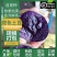 【自家种】紫土豆现摘打包口感好品质好价格低24小时速发